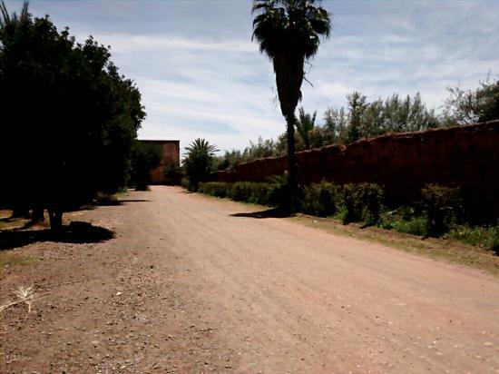 Ogród botaniczny Agdal Gardens